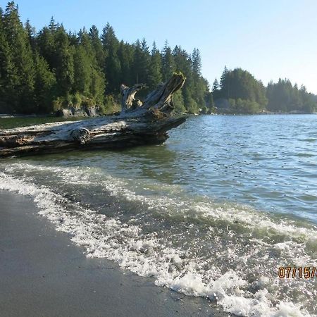 A Shack In The Woods Villa Port Renfrew Exterior photo