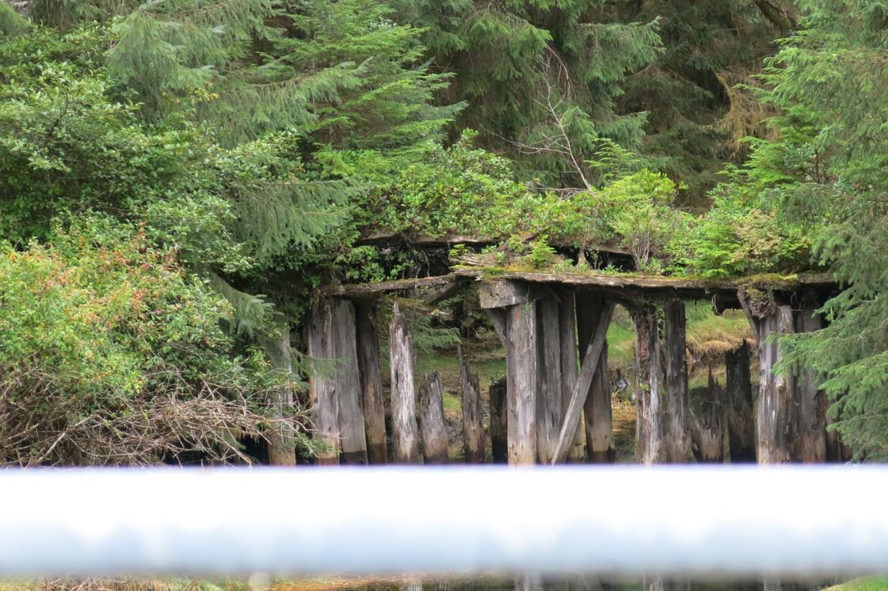 A Shack In The Woods Villa Port Renfrew Exterior photo