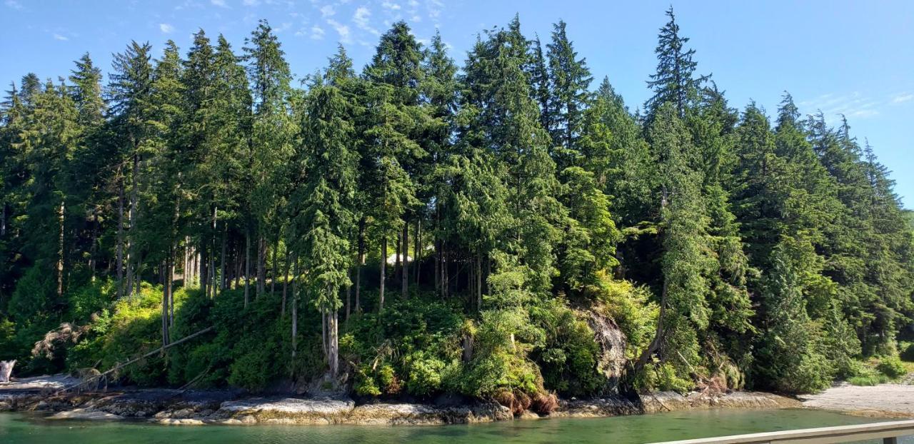 A Shack In The Woods Villa Port Renfrew Exterior photo