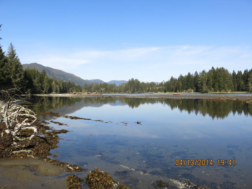 A Shack In The Woods Villa Port Renfrew Room photo