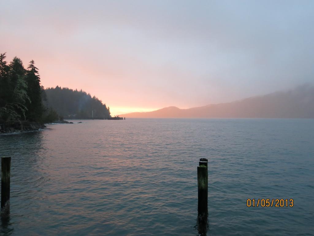 A Shack In The Woods Villa Port Renfrew Room photo