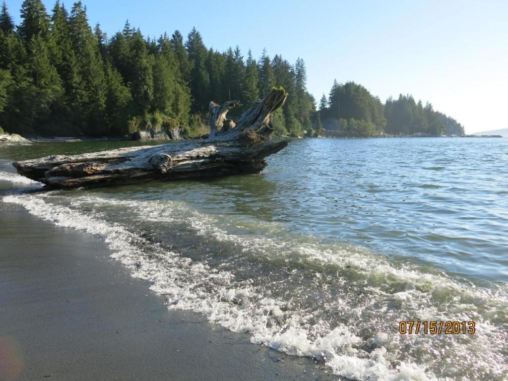 A Shack In The Woods Villa Port Renfrew Exterior photo