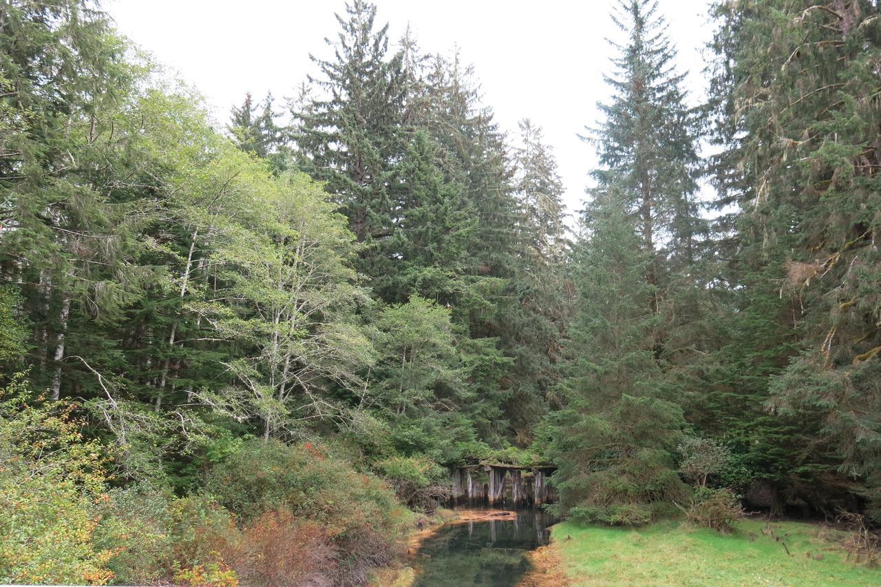 A Shack In The Woods Villa Port Renfrew Exterior photo