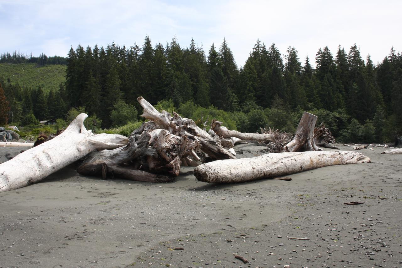 A Shack In The Woods Villa Port Renfrew Exterior photo
