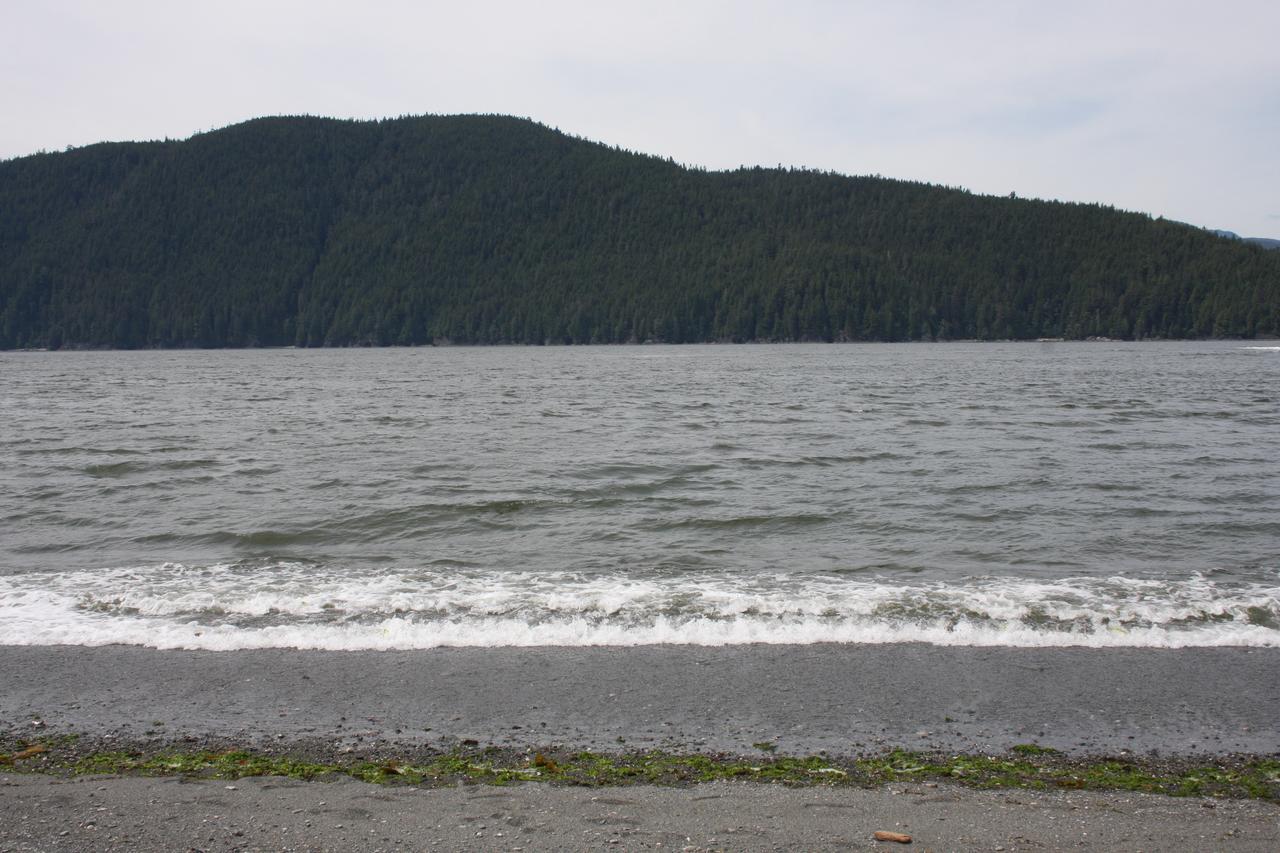 A Shack In The Woods Villa Port Renfrew Exterior photo